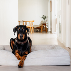 Finally, a bed that works as hard as your dog does.