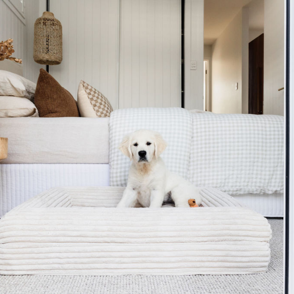 Finally, a bed that works as hard as your dog does.
