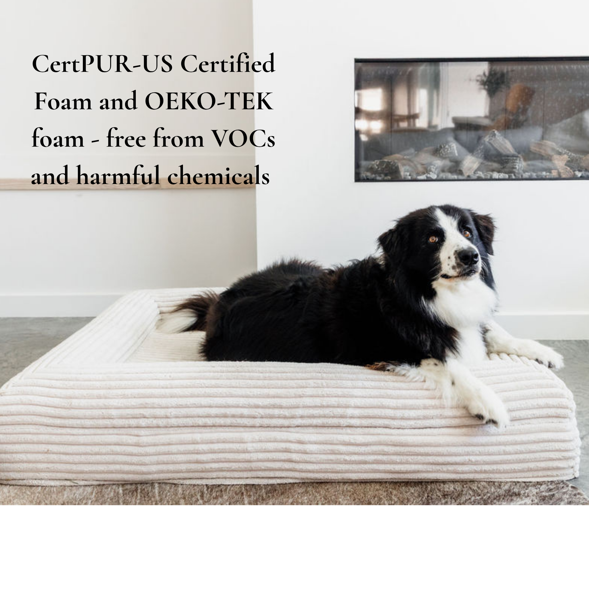 Finally, a bed that works as hard as your dog does.