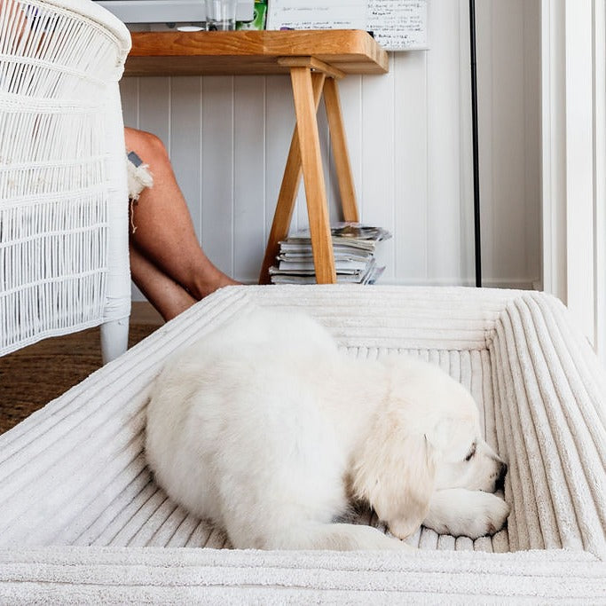 Luxury Orthopedic Dog Bed