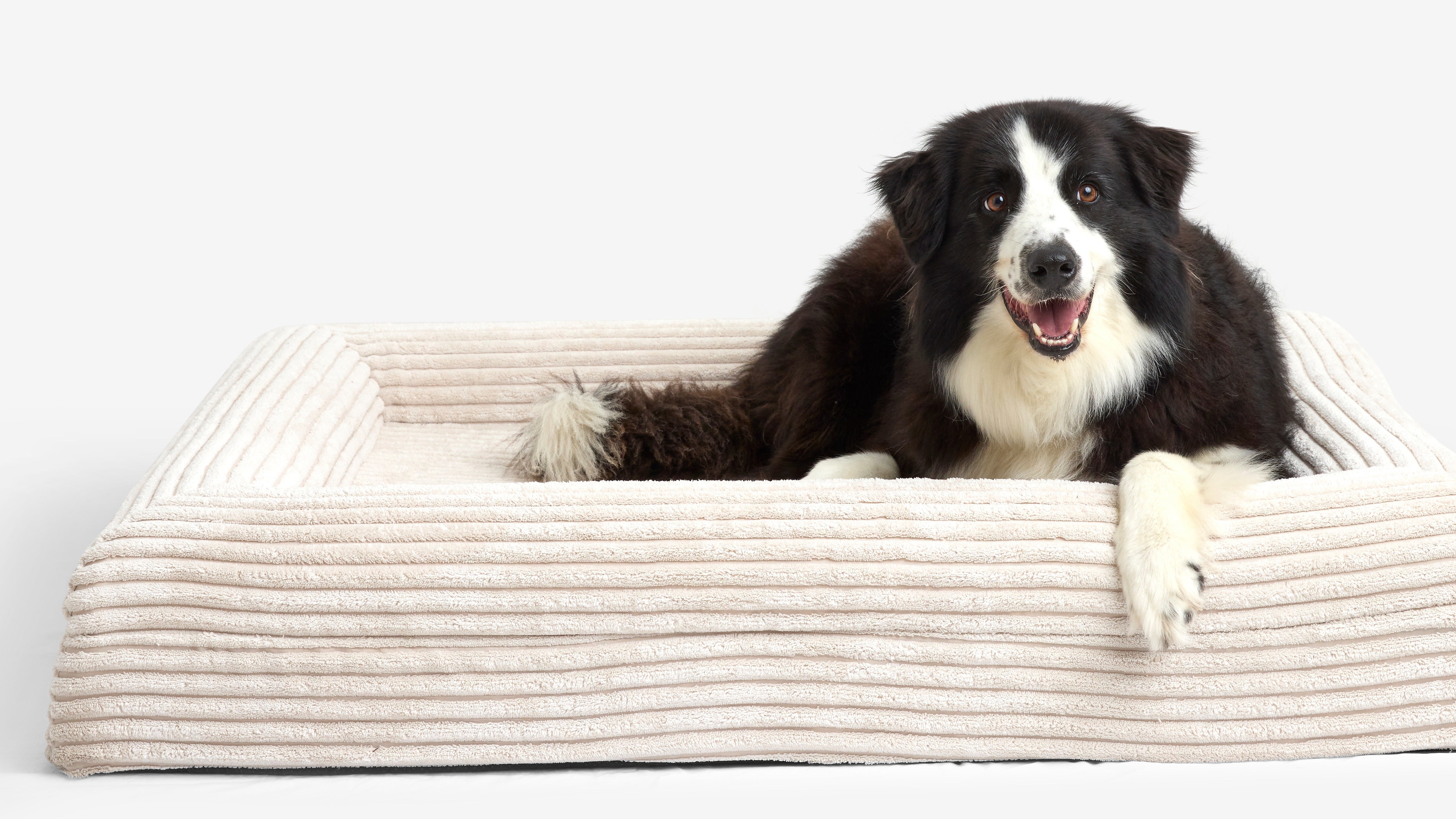 Luxury Orthopedic Dog Bed