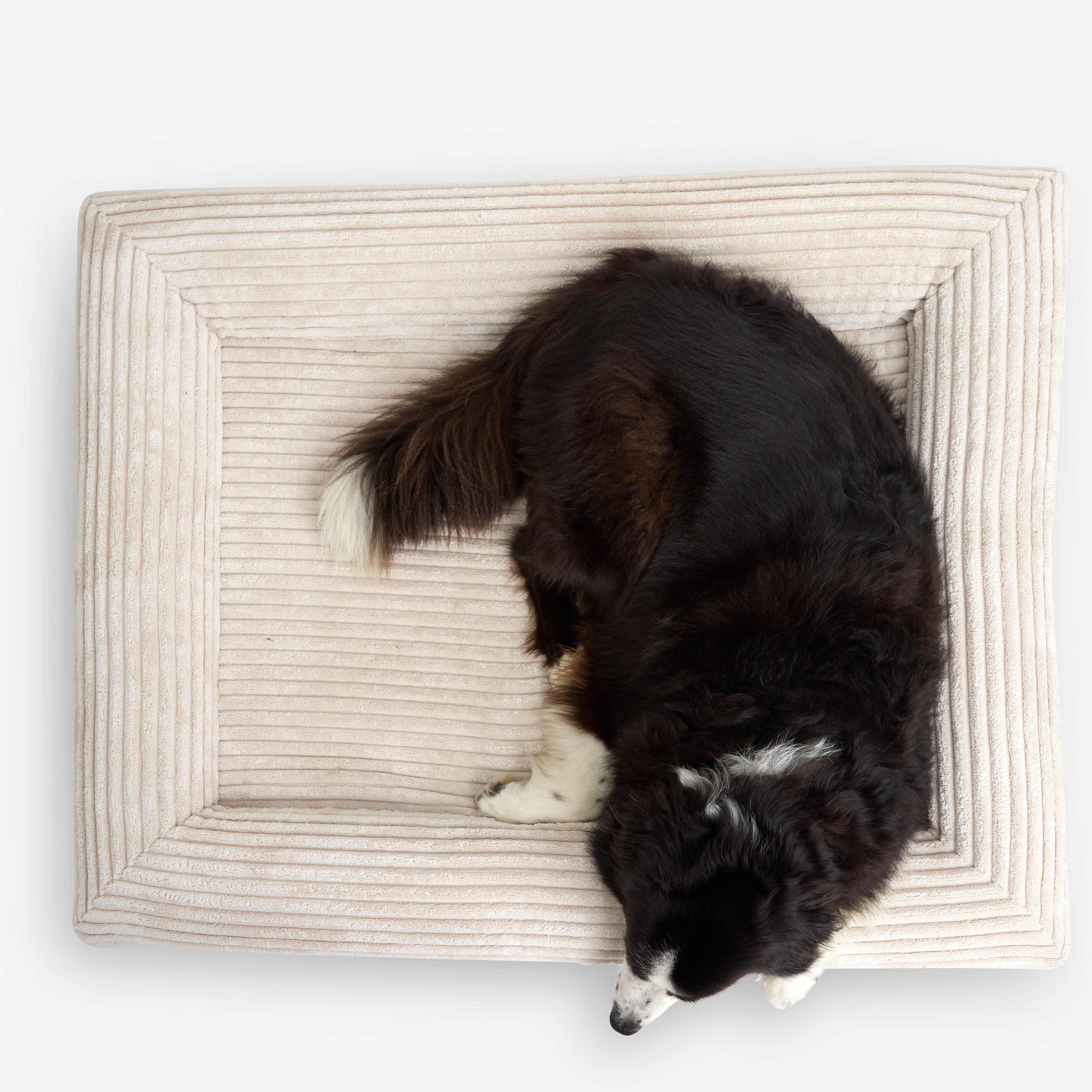 Luxury Orthopedic Dog Bed