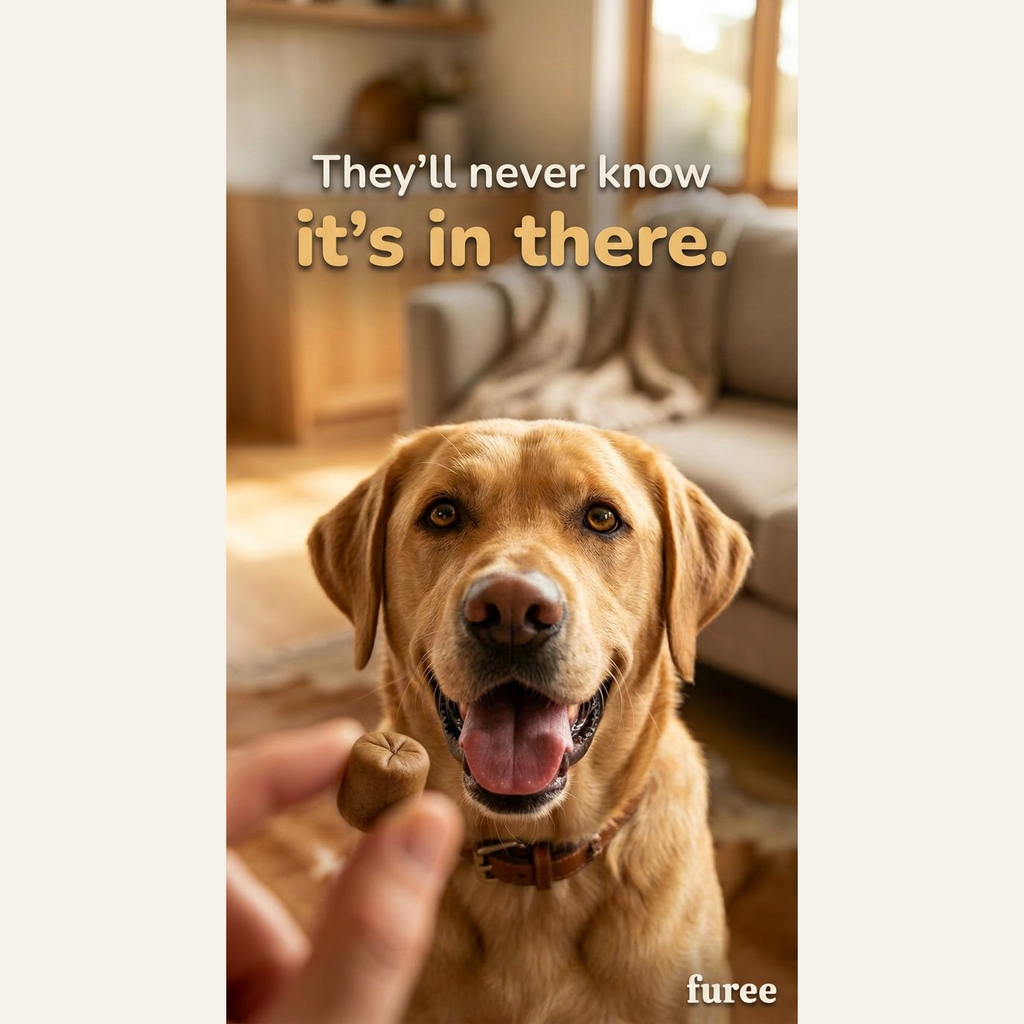 Pet Pill Pouches - for every dog, including the sensitive ones